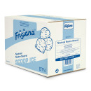 88055057 - Frisiana BTN Neutral Scoop Ice Cream Powder